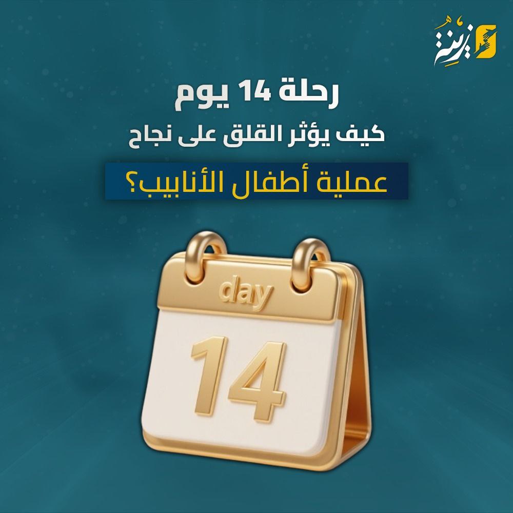رحلة الـ14 يوم كيف يؤثر القلق على نجاح عملية أطفال الأنابيب؟